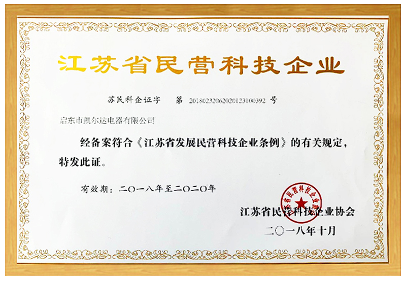 民营科技企业